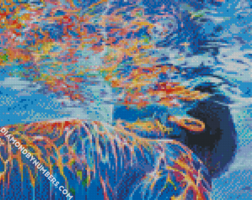Man Underwater Paint by Numbers