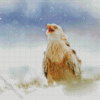 White Red Kite Bird diamond paintings