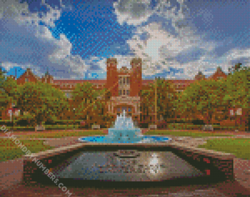 Florida Stat University diamond painting