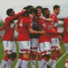 Middlesbrough FC Team diamond paintings