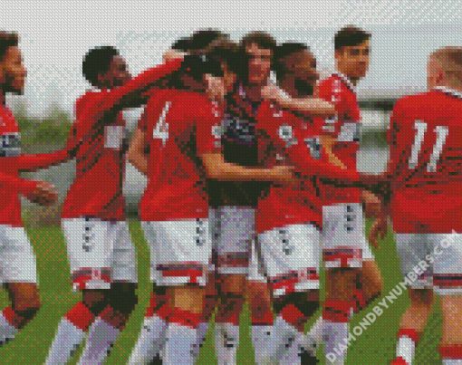 Middlesbrough FC Team diamond paintings