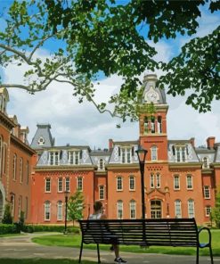 Aesthetic West Virginia University diamond painting