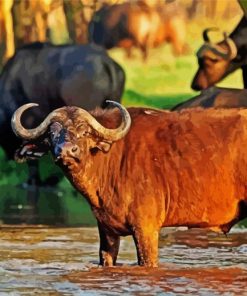 African Wild Cattle diamond paintings