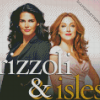 Rizzoli And Isles Show diamond painting