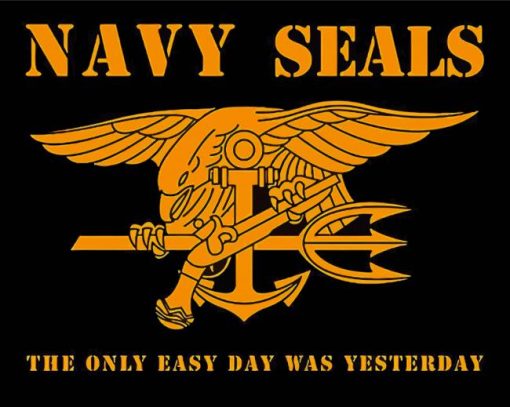 Aesthetic Navy Seal Logo diamond painting