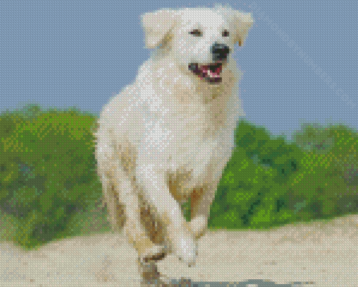 Cream Retriever diamond painting