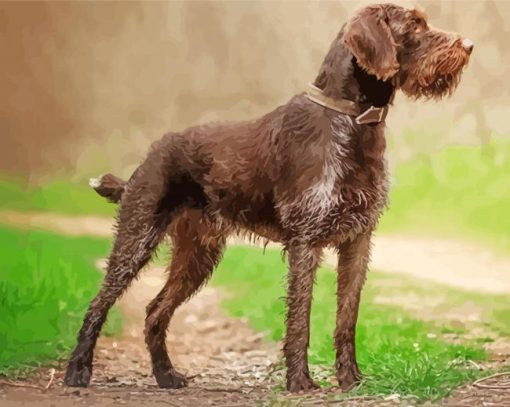 Brown Deutsch Drahthaar diamond painting