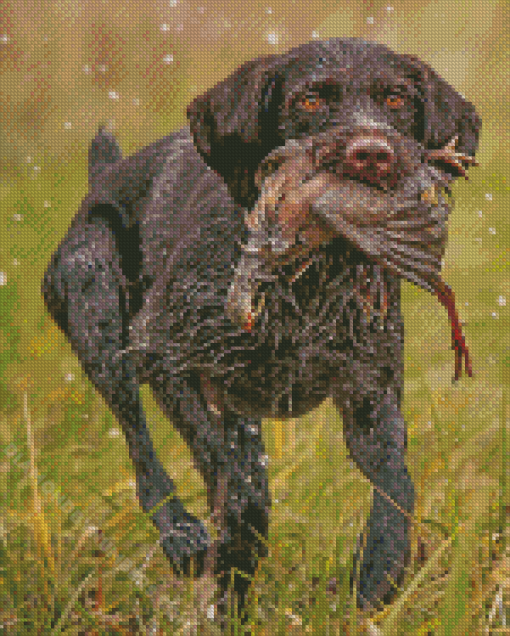 Deutsch Drahthar diamond painting