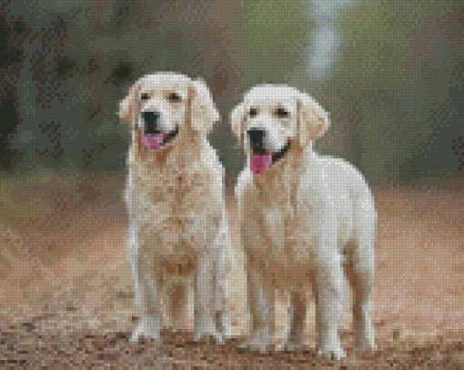 Aesthetic Cream Retrievers diamond painting
