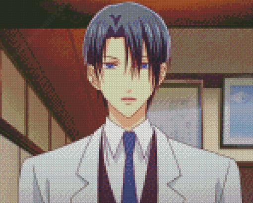 Hatori Sohma diamond painting