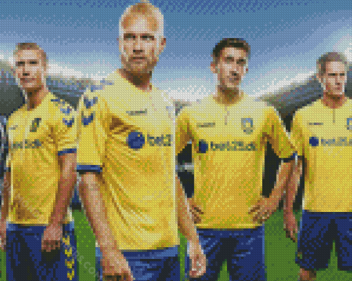 Aesthetic Brondby diamond painting