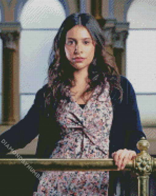 Paige Sandhu Diamond Painting