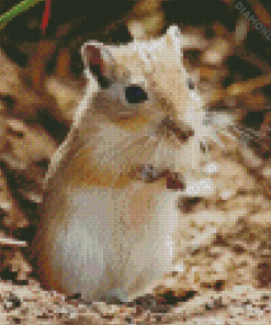 Gerbil Diamond Painting e