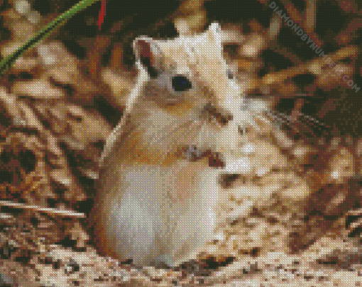 Gerbil Diamond Painting e