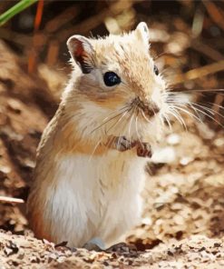 Gerbil Diamond Painting