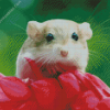 Cute Gerbil Diamond Painting