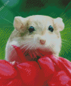 Cute Gerbil Diamond Painting