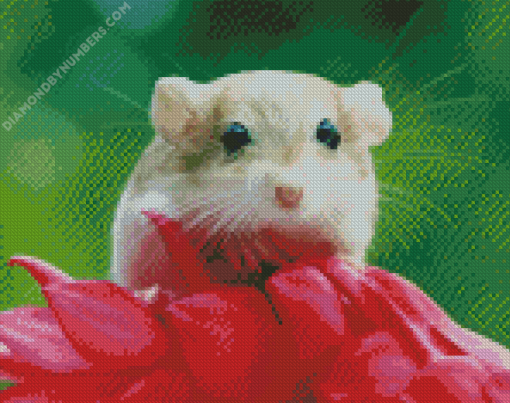 Cute Gerbil Diamond Painting