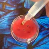 Diamond Wax Refills Red Glue